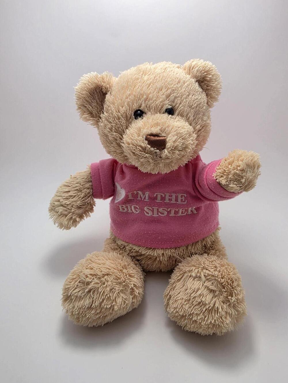 Baby Gund "I'm the Big Sister" the Pink Teddy Bear! Gender Reveal (10 inch)